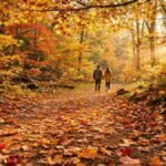 Golden autumn leaves falling on a forest path with sunlight — fall quotes